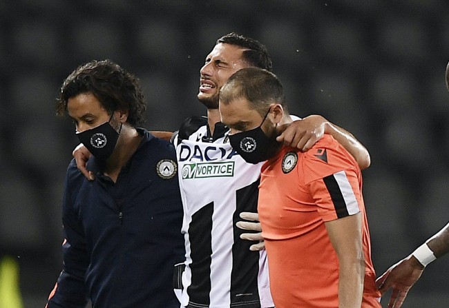 他们将为观 他们将为观